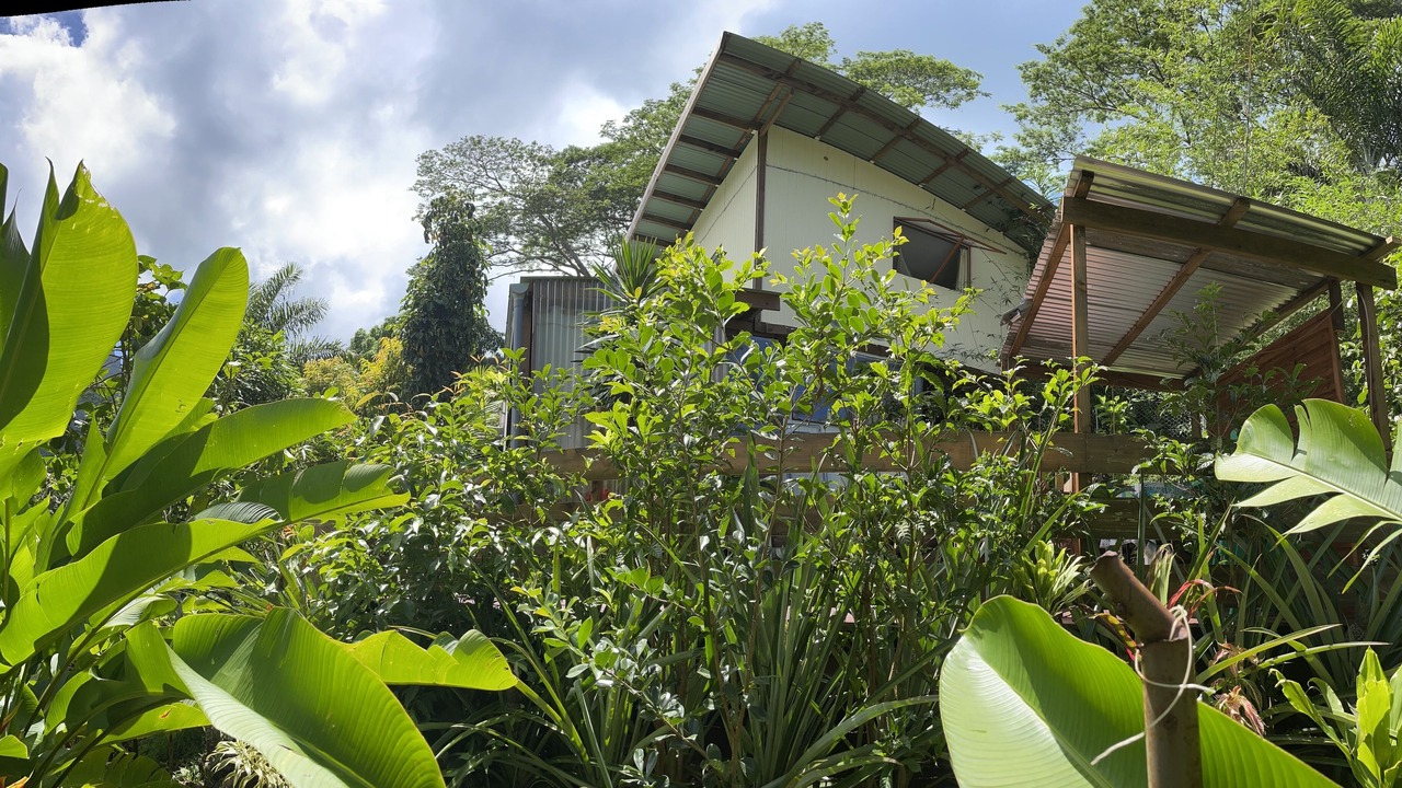 Photo of Outdoor in Ha'apiti