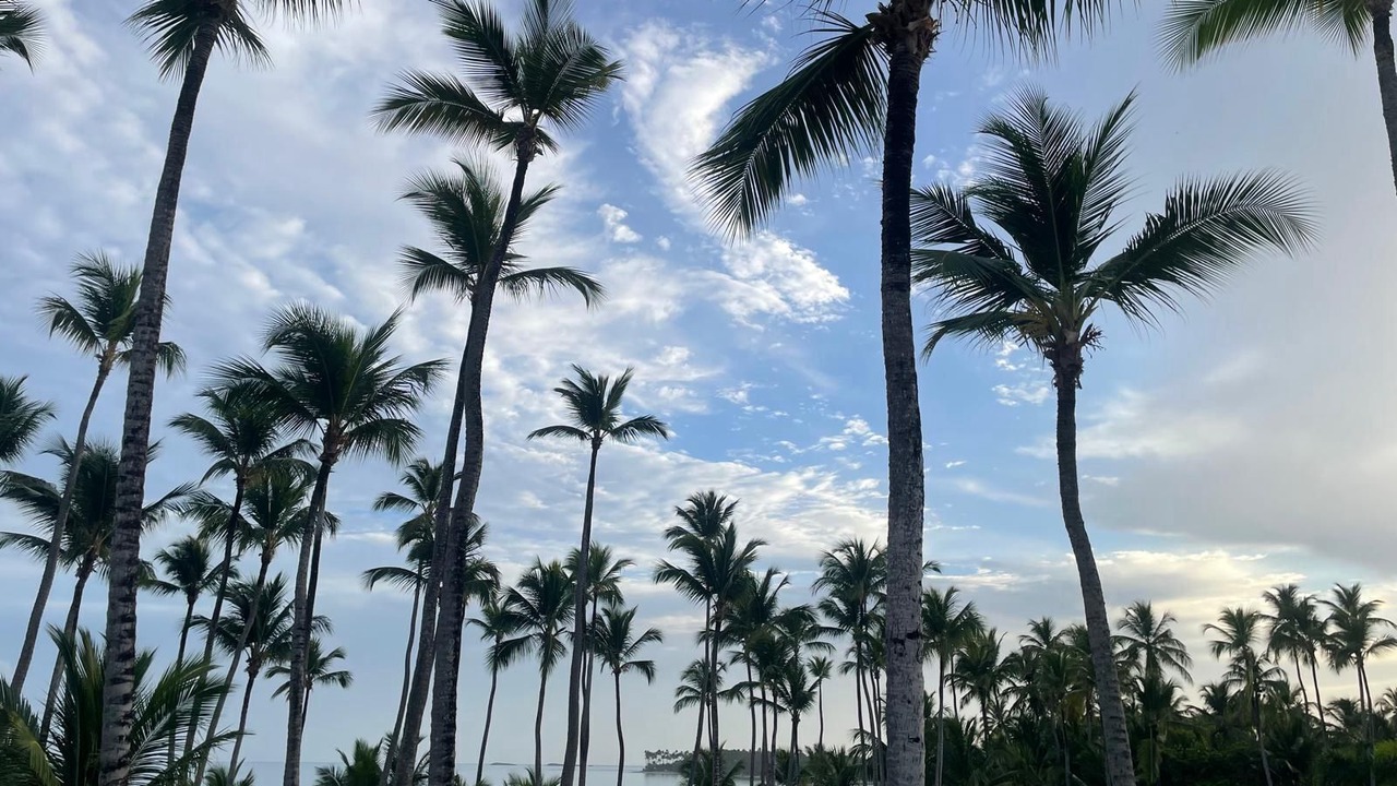 Photo of Others in Las Terrenas
