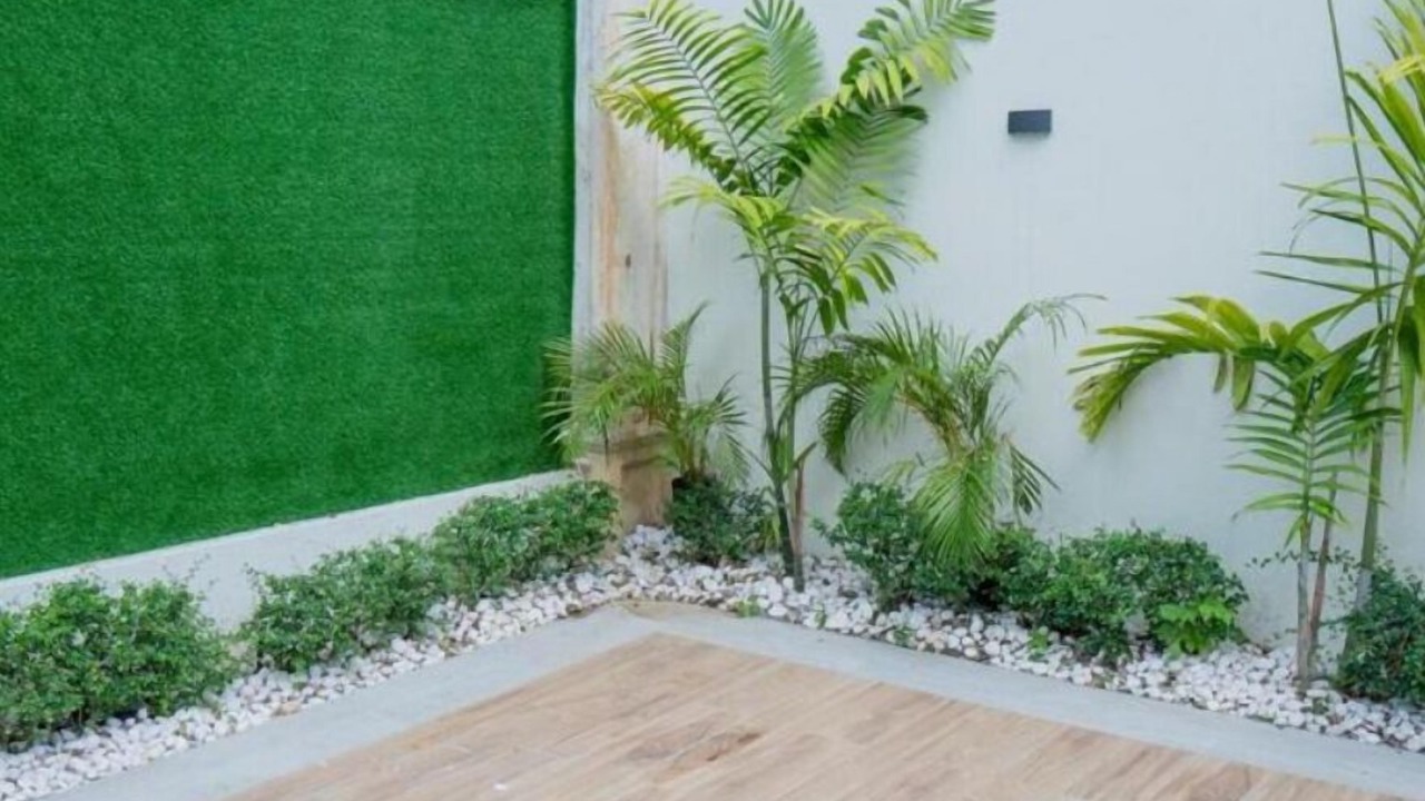 Photo of Outdoor in Santo Domingo