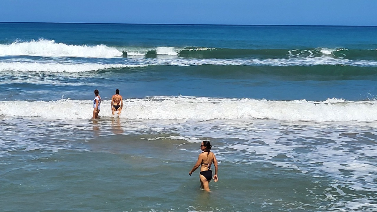 Photo of Others in Las Canas