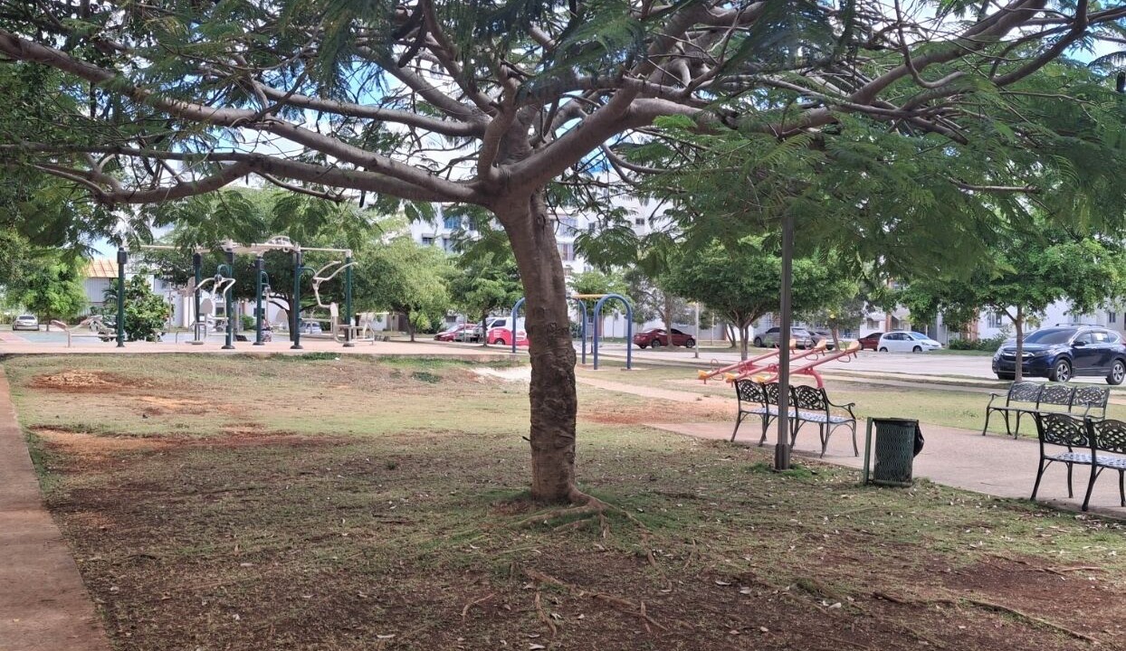 Photo of Others in Santo Domingo Este