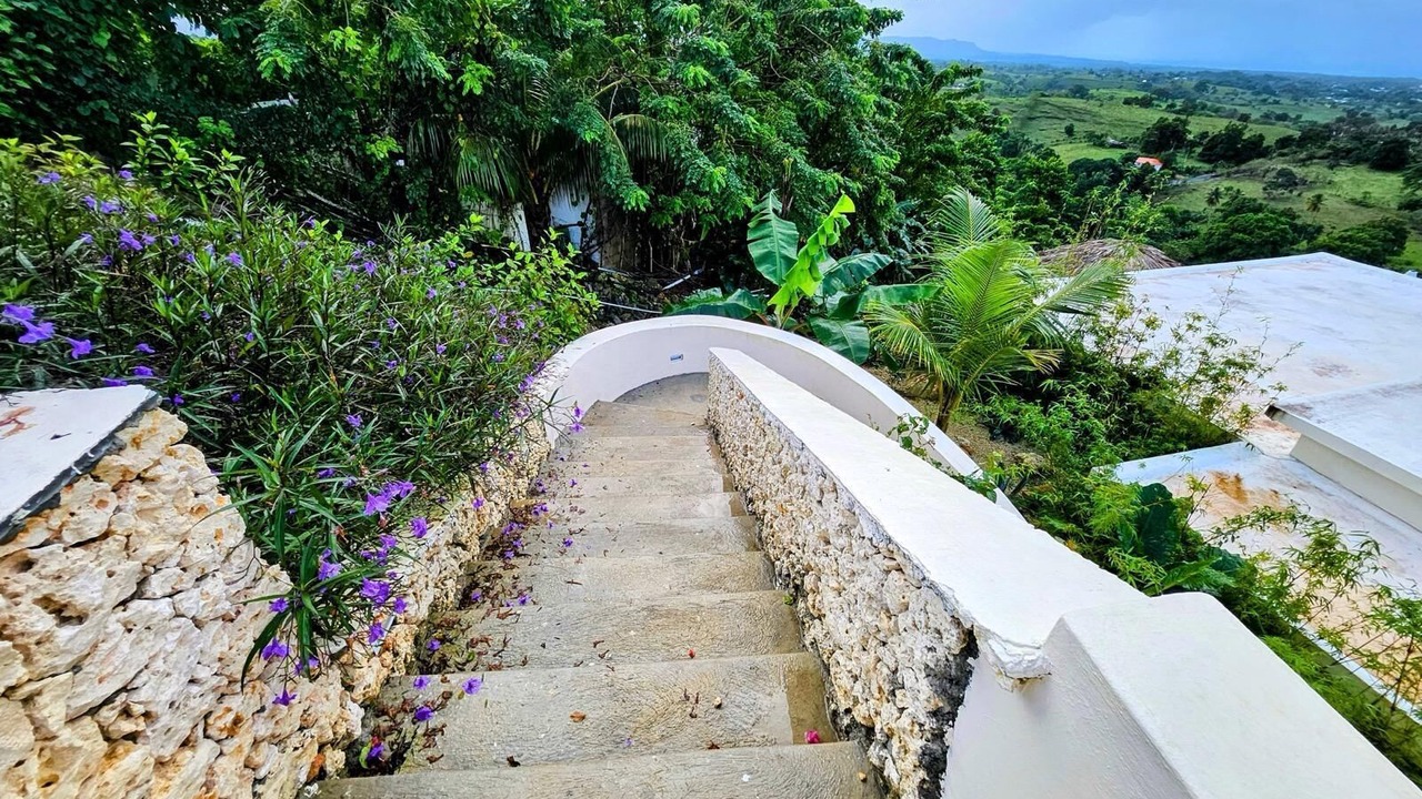 Photo of Outdoor in El Factor