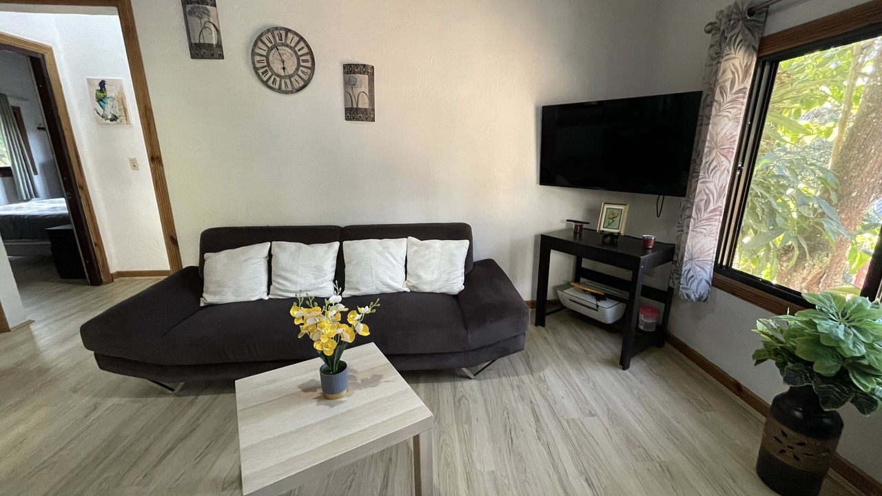 Photo of Livingroom in Jarabacoa