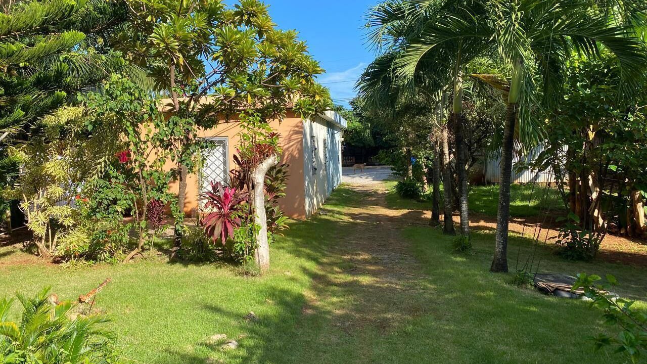 Photo of Outdoor in Las Galeras