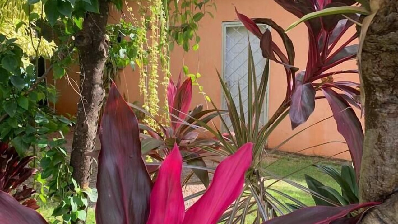Photo of Outdoor in Las Galeras