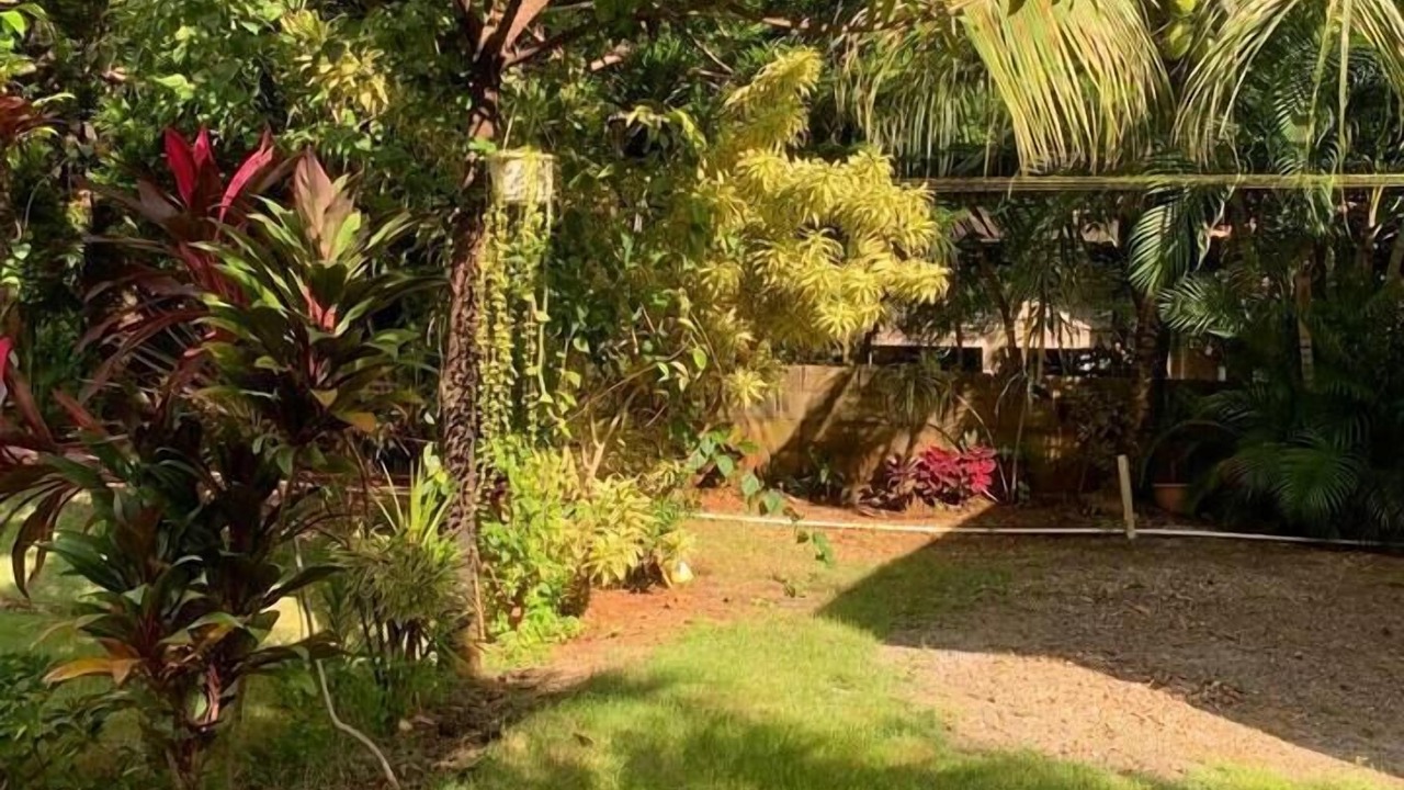 Photo of Outdoor in Las Galeras