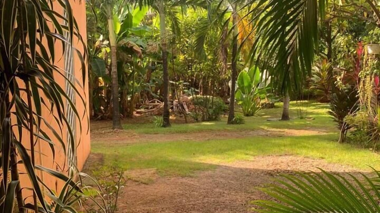 Photo of Outdoor in Las Galeras