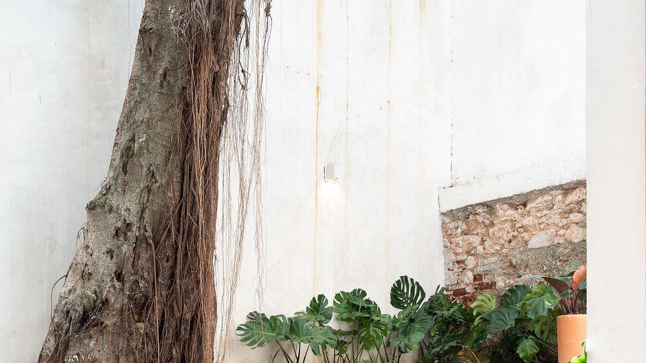 Photo of Outdoor in Zona Colonial