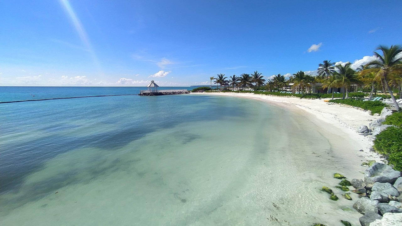 Photo of Others in Cap Cana Marina