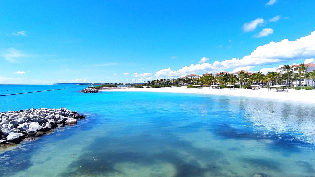 Photo of Others in Cap Cana Marina