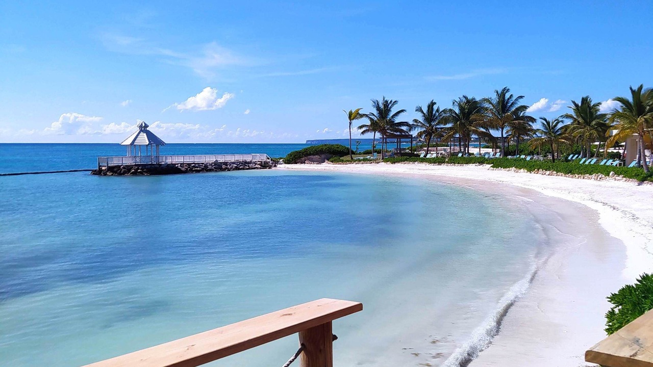 Photo of Others in Cap Cana Marina