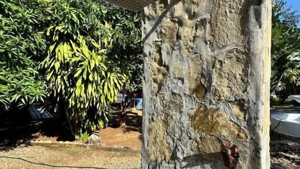 Photo of Outdoor in Sosua