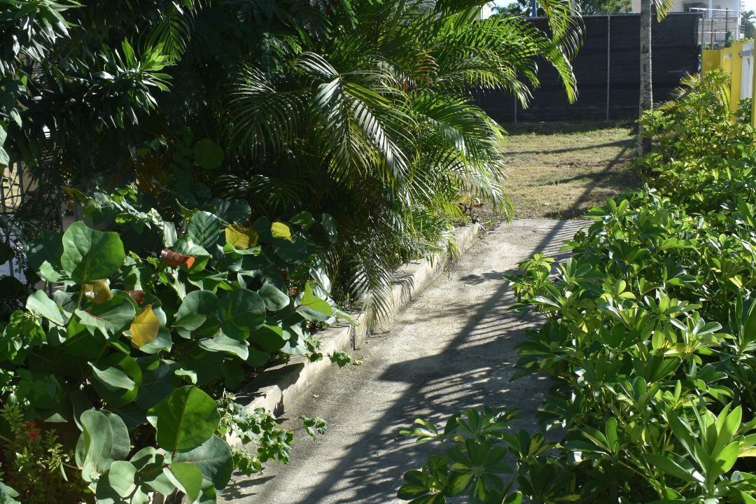 Photo of Outdoor in Bella Vista