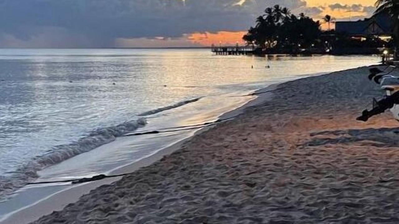 Photo of Others in Puerto Bahia