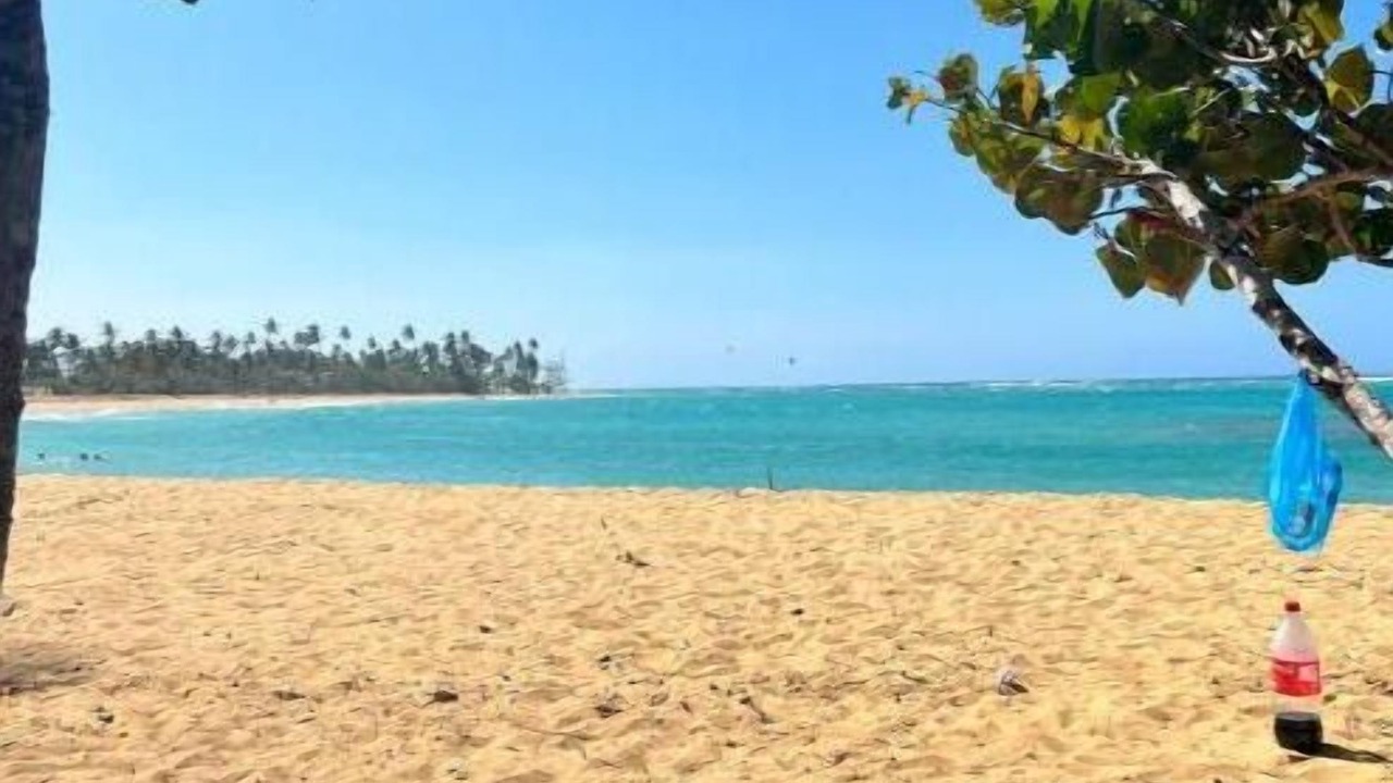Photo of Others in Puerto Bahia