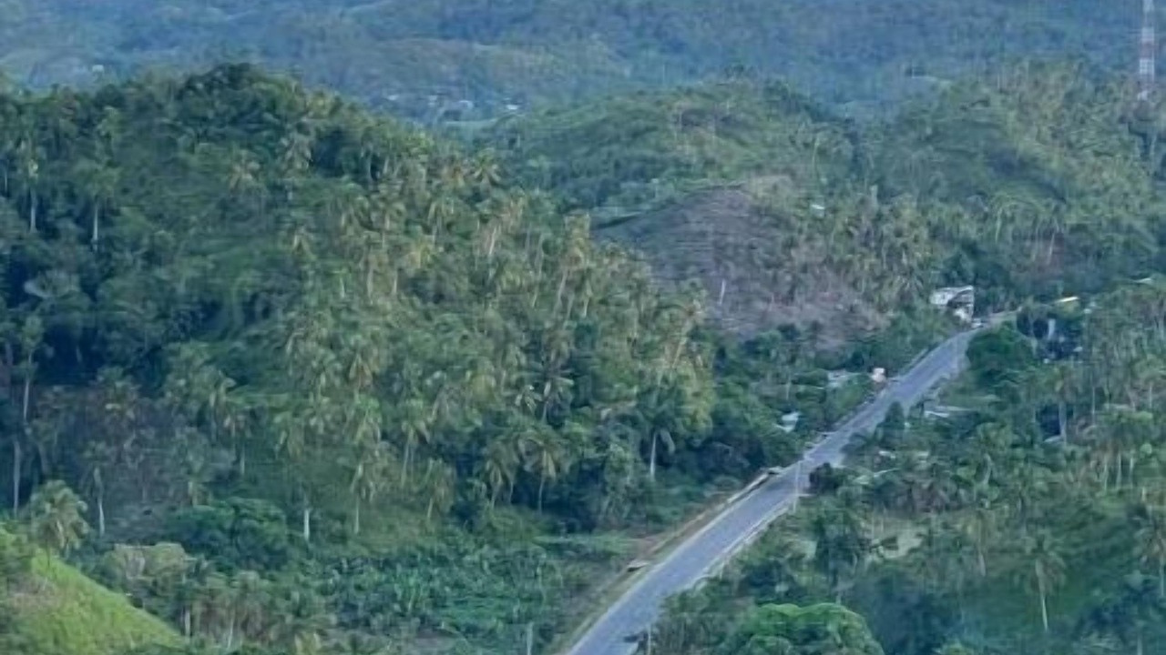 Photo of Others in Puerto Bahia