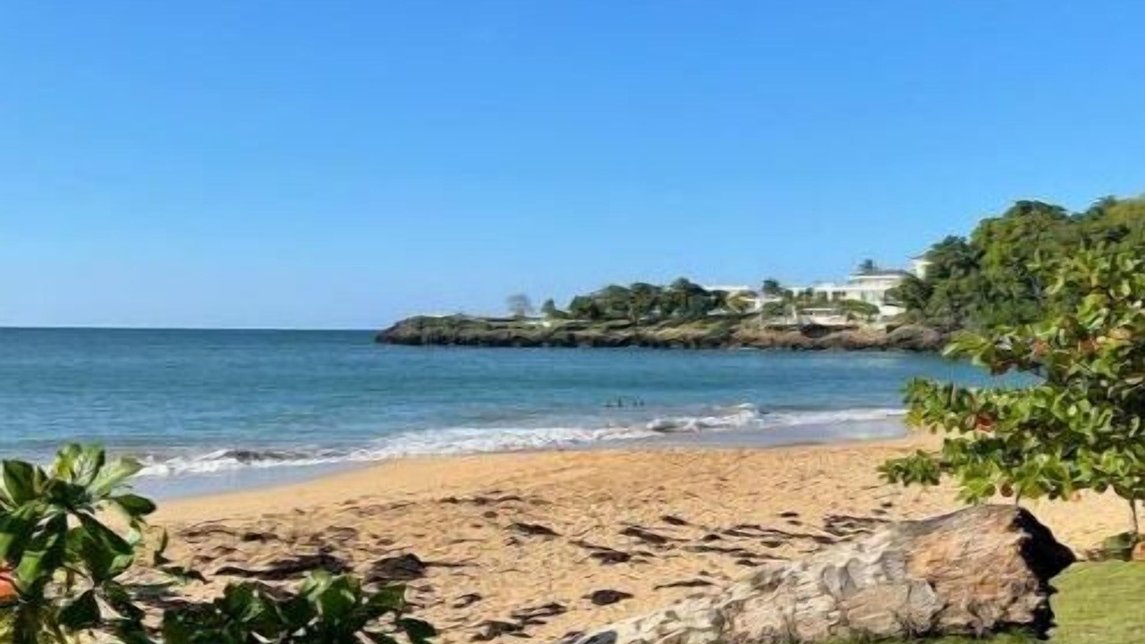 Photo of Others in Puerto Bahia