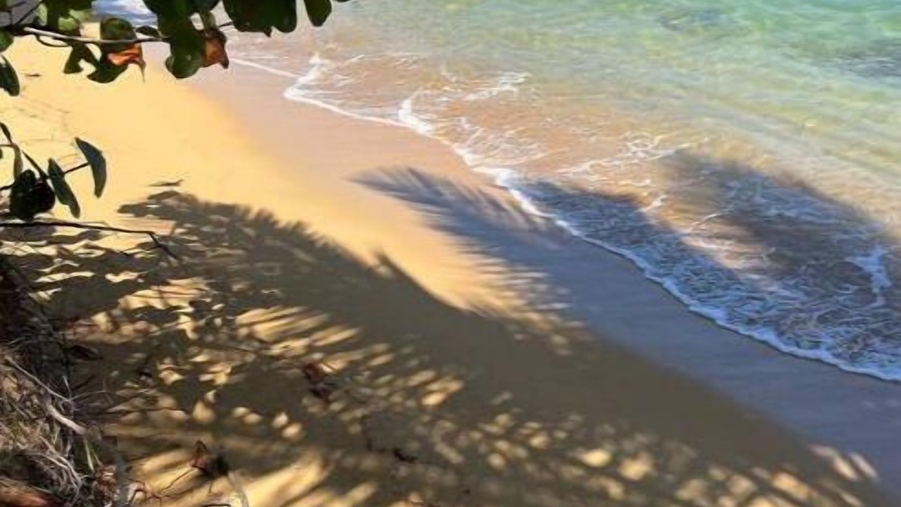 Photo of Others in Puerto Bahia