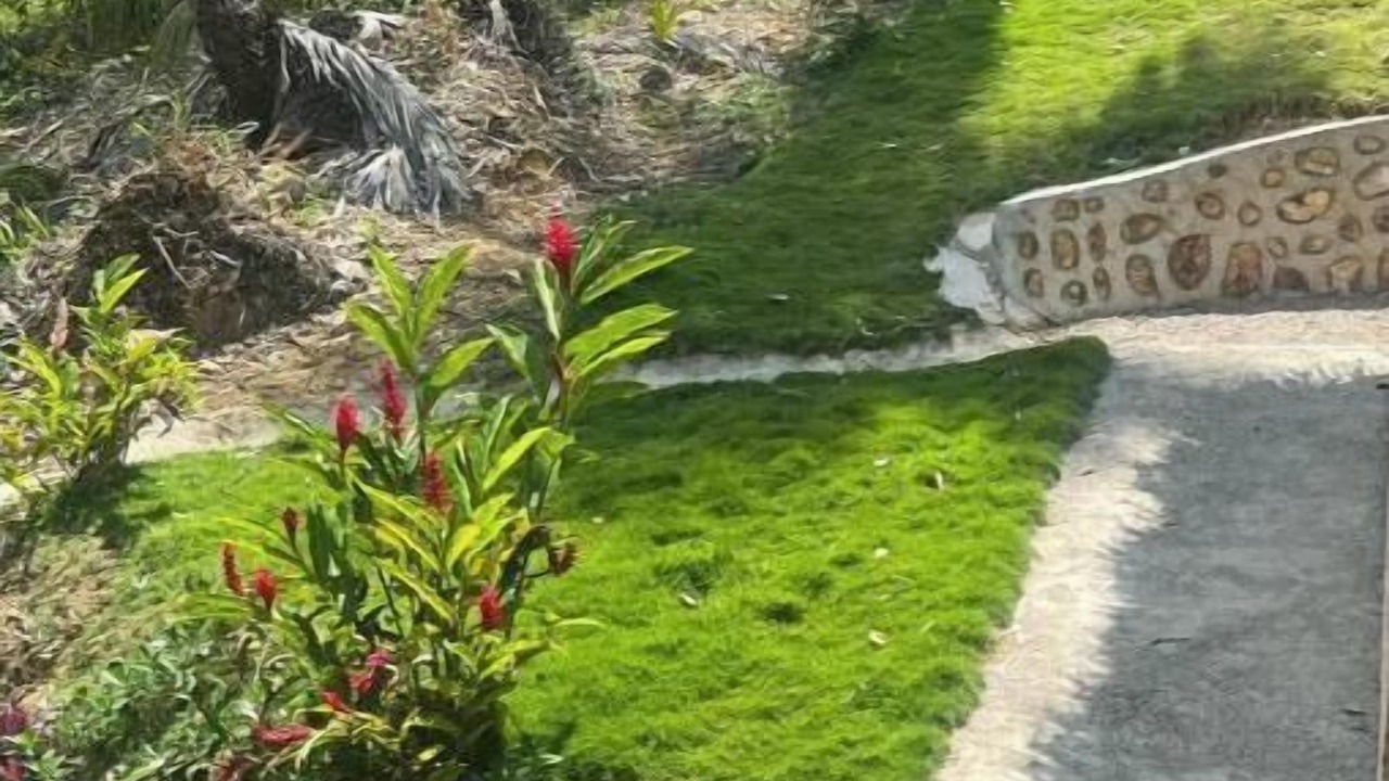 Photo of Outdoor in Puerto Bahia