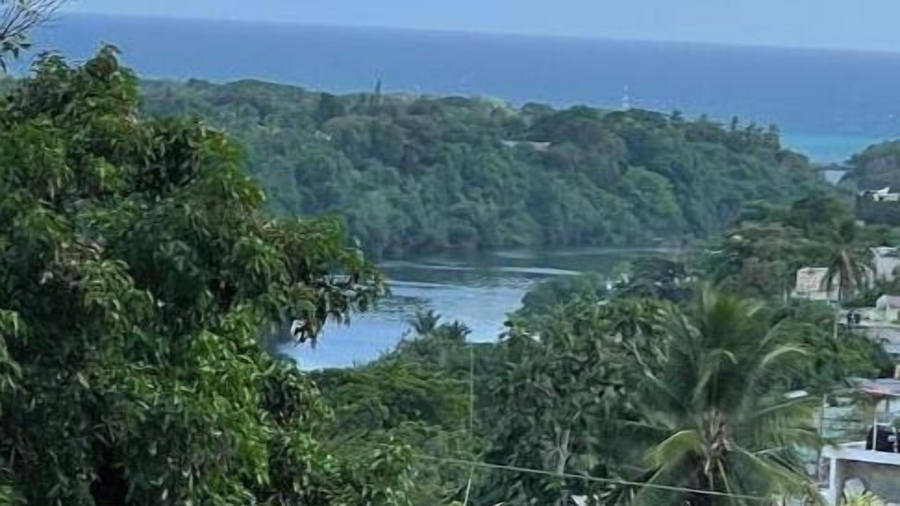 Photo of Others in Puerto Bahia