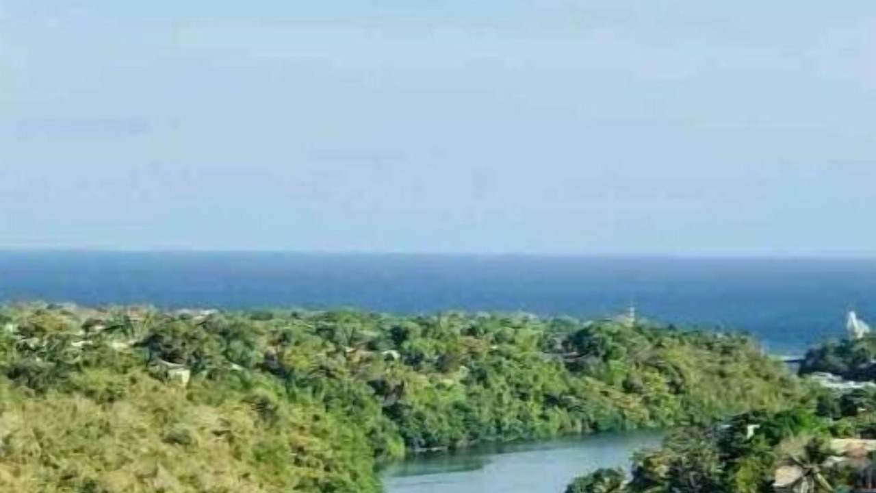 Photo of Others in Puerto Bahia