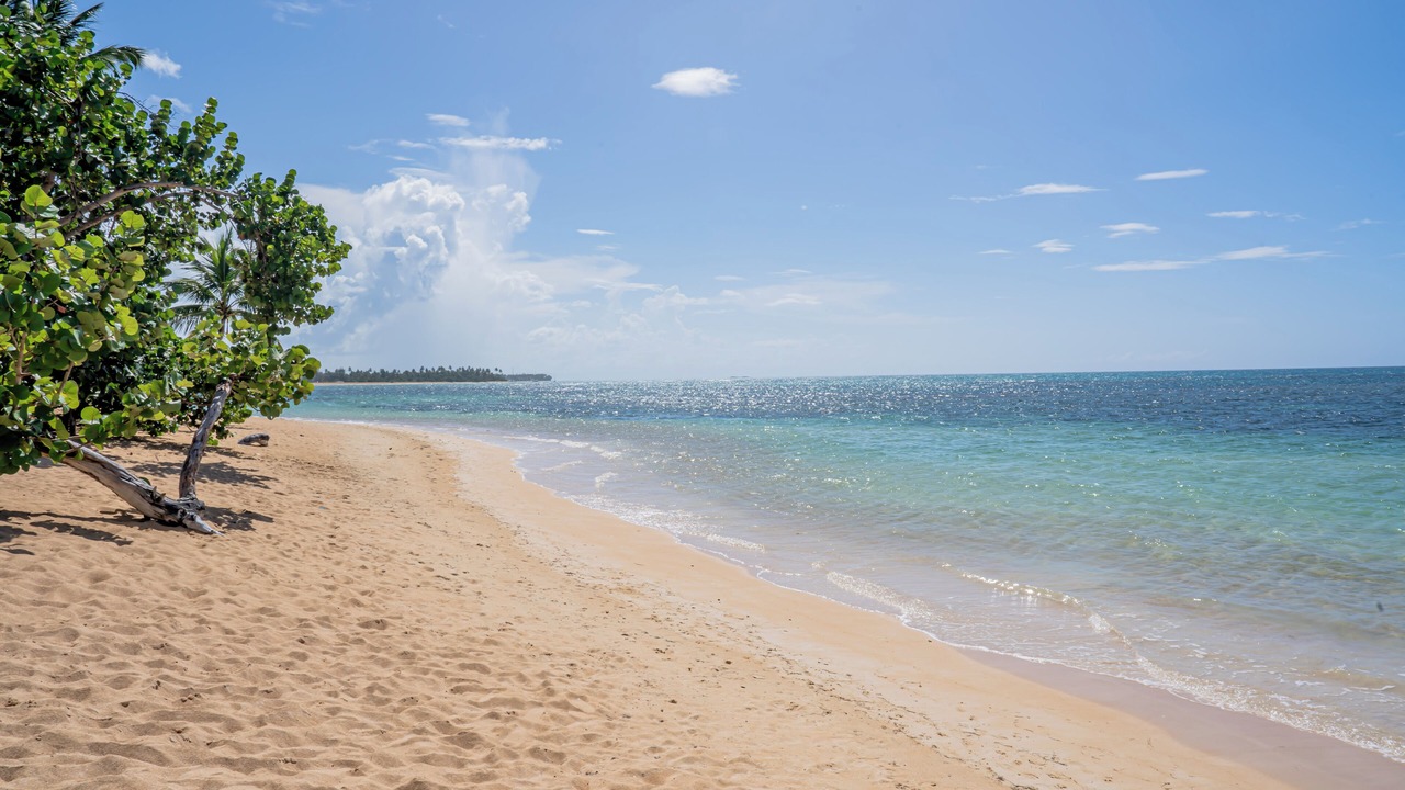 Photo of Others in Puerto Bahia