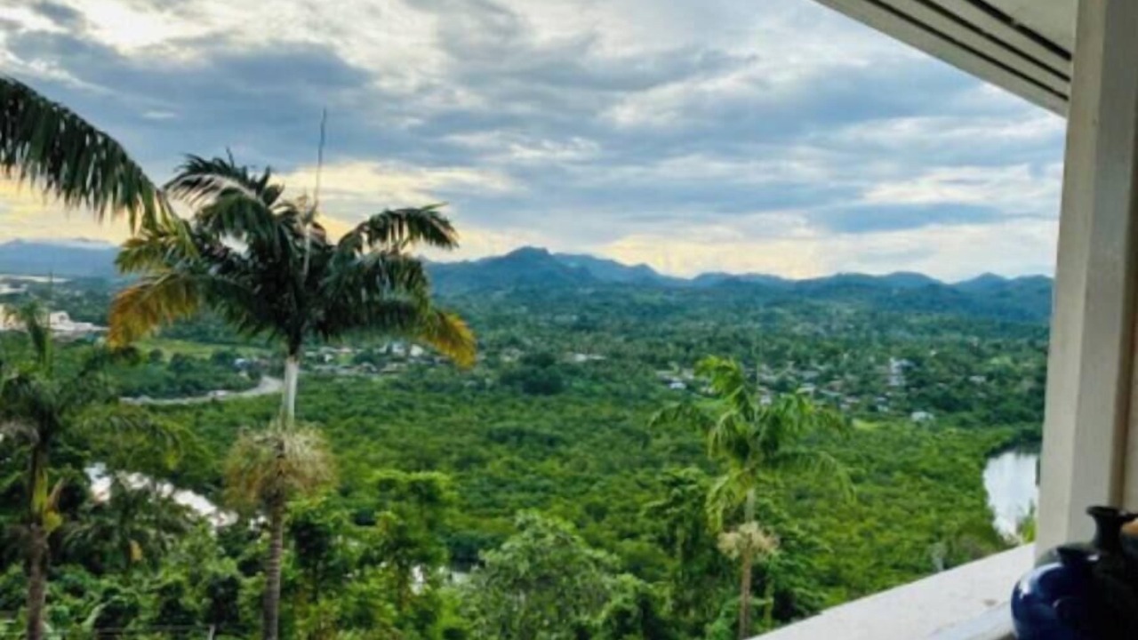 Photo of Others in Suva