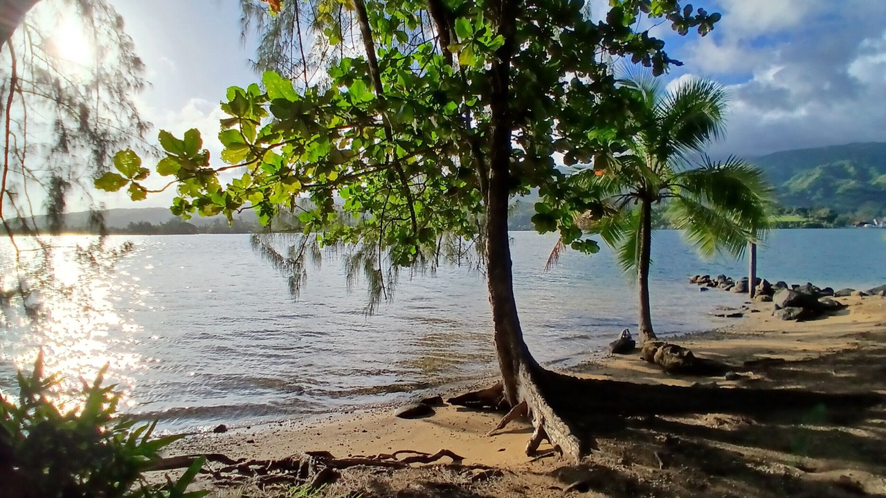 Photo of Others in Afaahiti