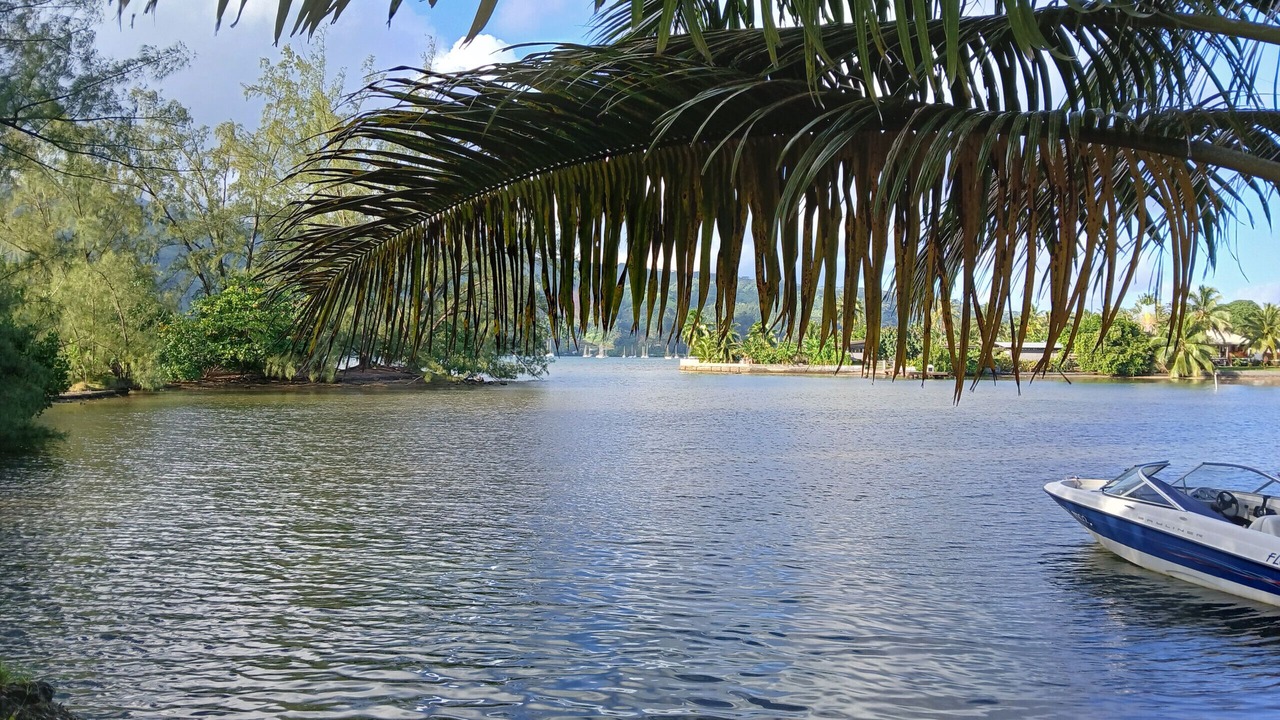Photo of Others in Afaahiti