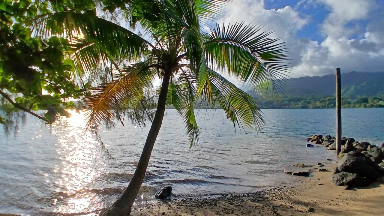 Photo of Others in Afaahiti