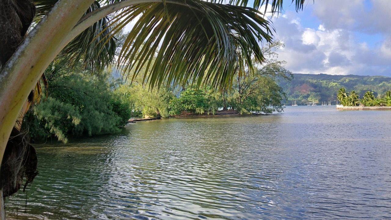 Photo of Others in Afaahiti