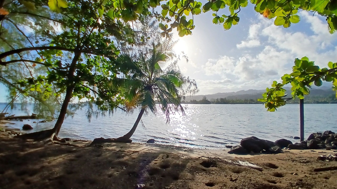 Photo of Others in Afaahiti