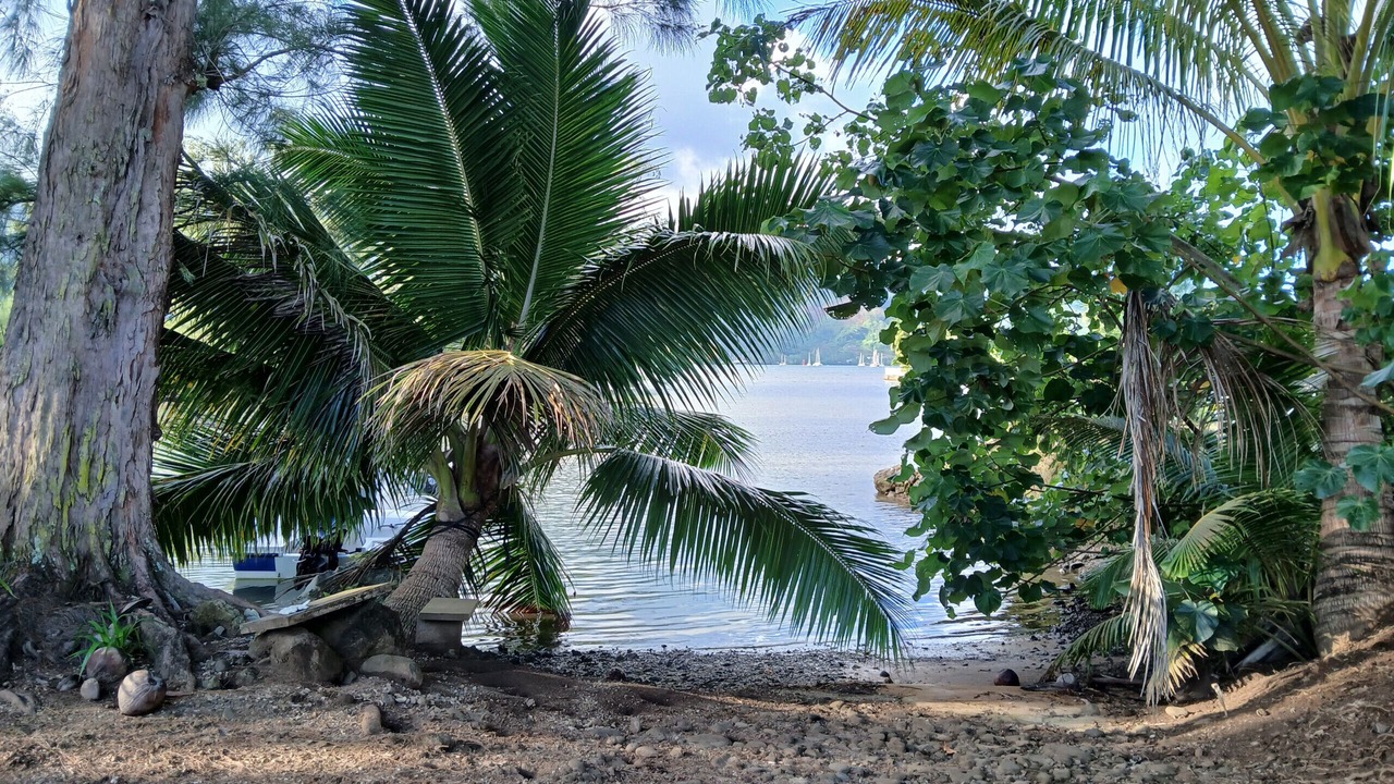 Photo of Others in Afaahiti