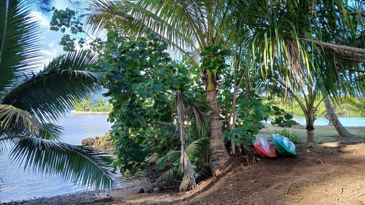 Photo of Others in Afaahiti