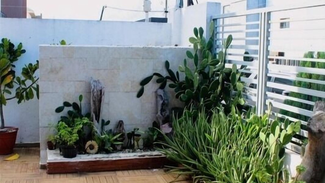 Photo of Outdoor in Santo Domingo Oeste