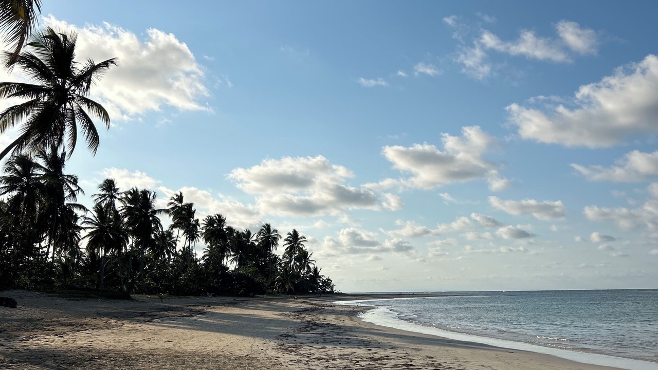Photo of Others in Puerto Bahia
