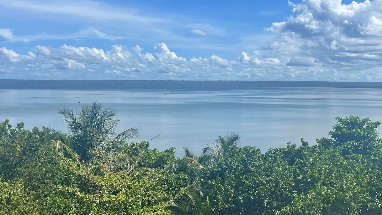 Photo of Others in Puerto Bahia