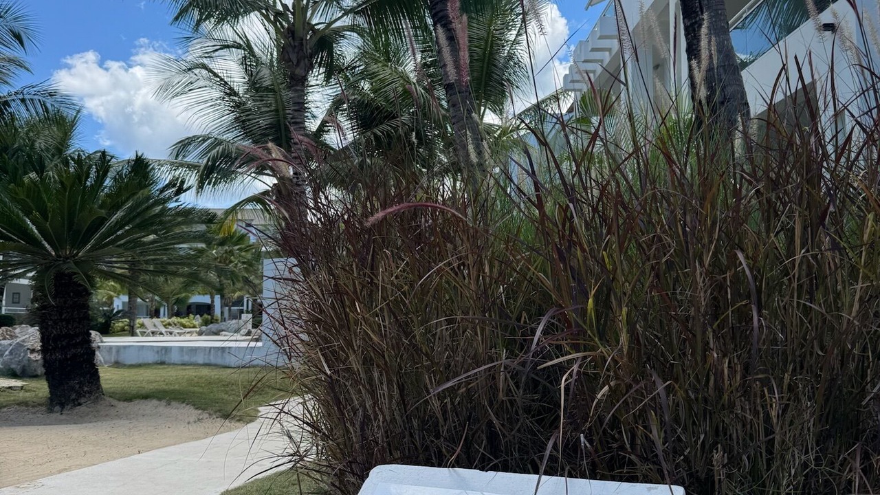 Photo of Outdoor in Dominicus