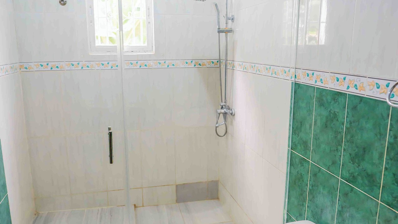 Photo of Bathroom in Higuey