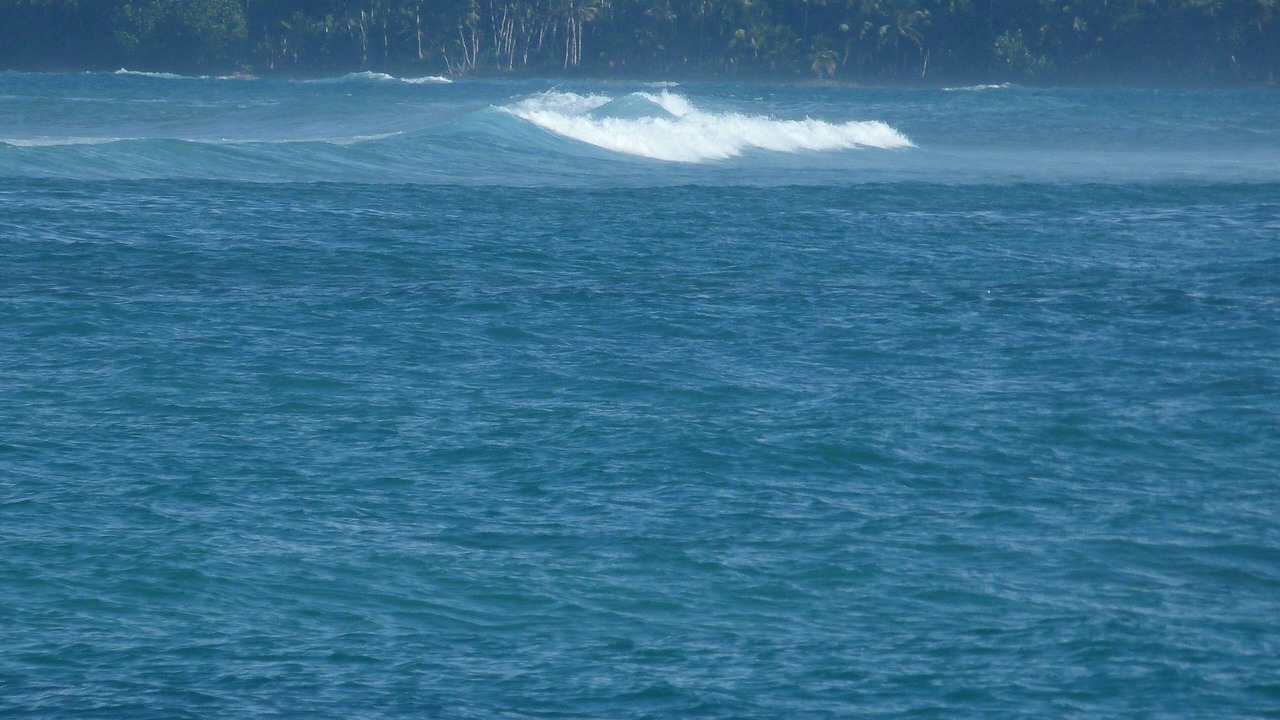 Photo of Others in Cabrera