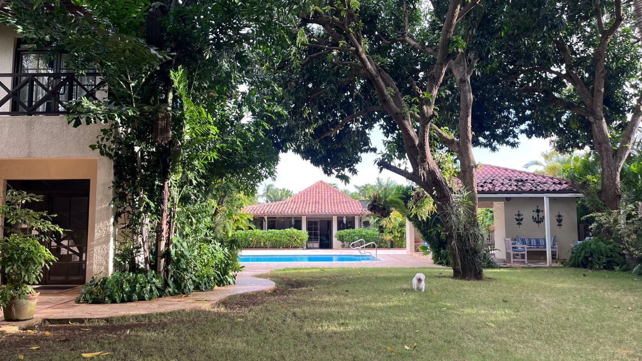 Photo of Outdoor in Los Lagos