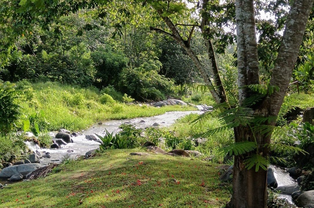 Photo of Outdoor in Piedra Blanca