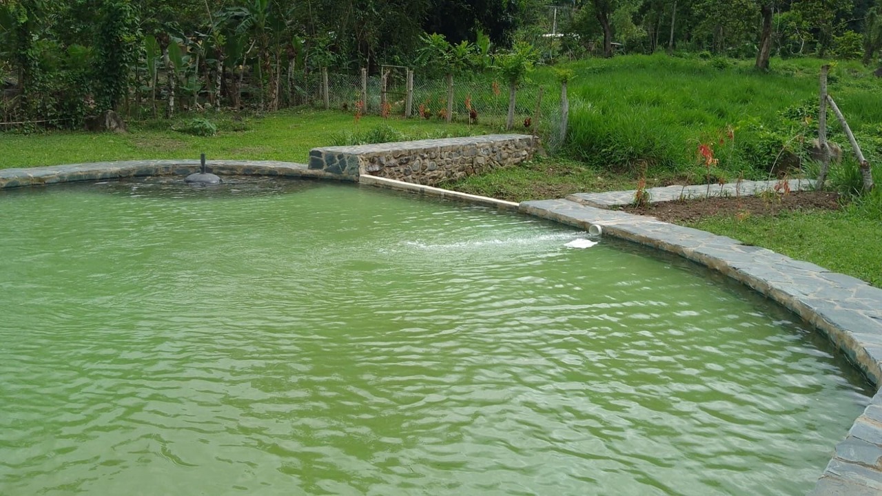 Photo of Outdoor in Piedra Blanca