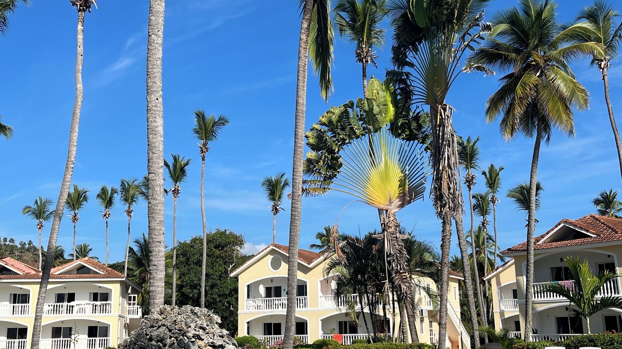 Photo of Outdoor in Samana