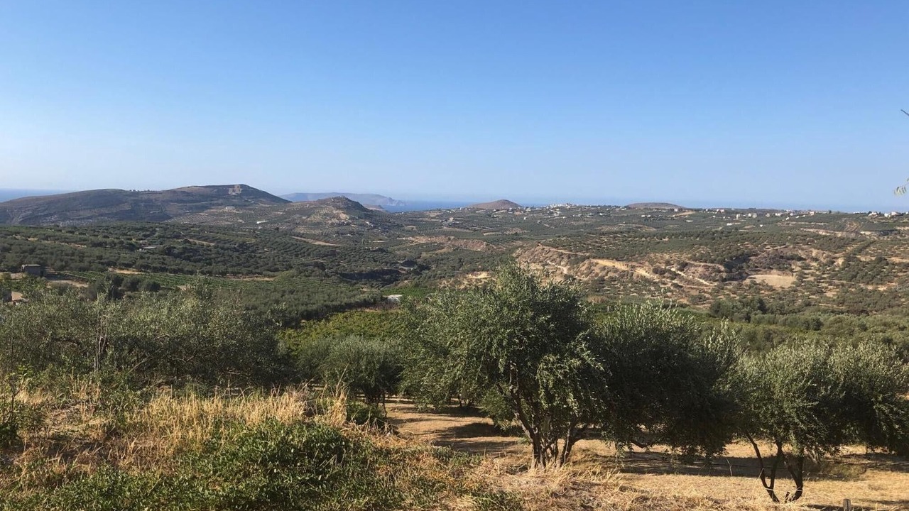 Photo of Others in Episkopi