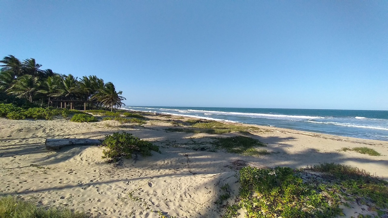 Photo of Others in Cabarete