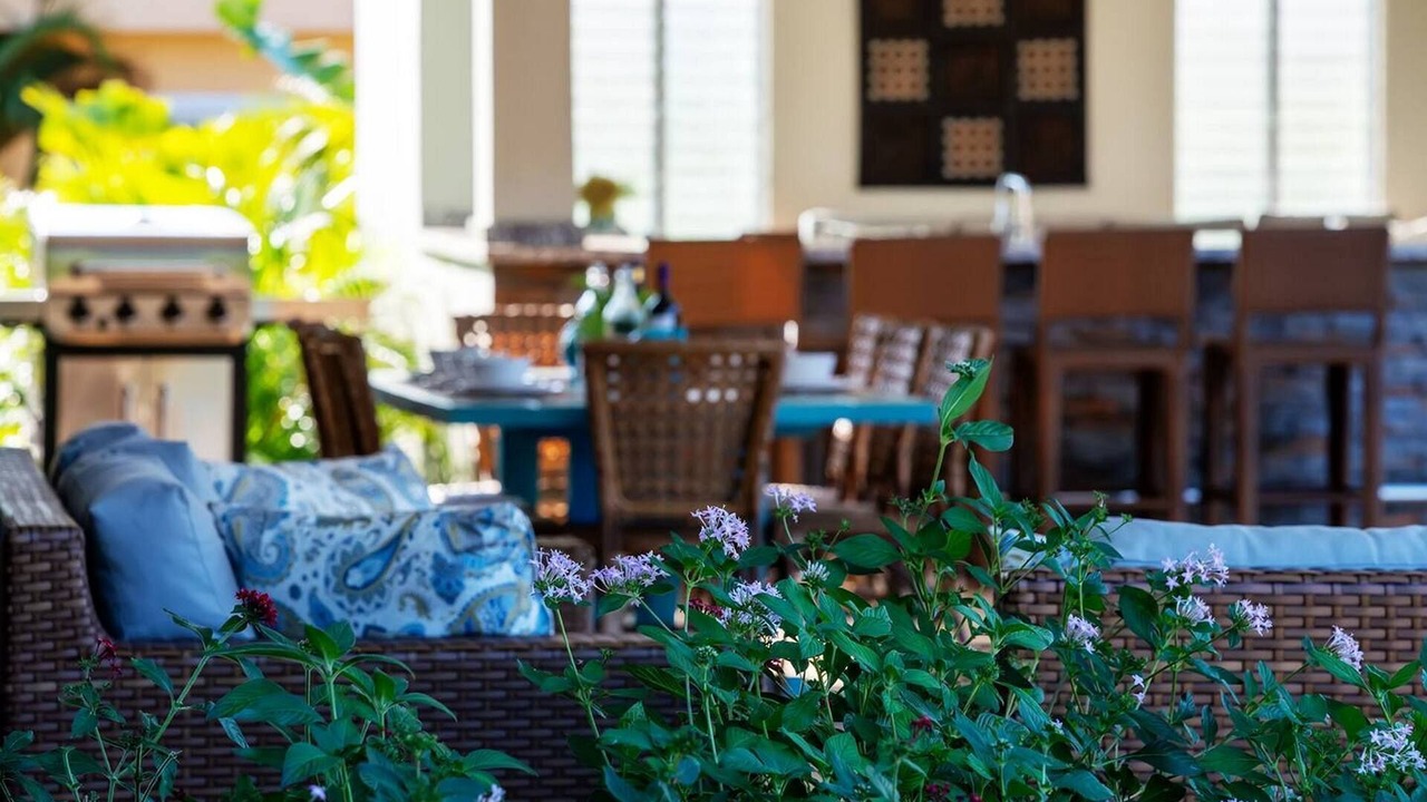 Photo of Outdoor in La Mulata