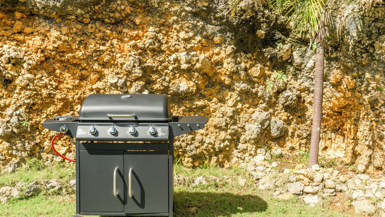 Photo of Outdoor in Las Terrenas