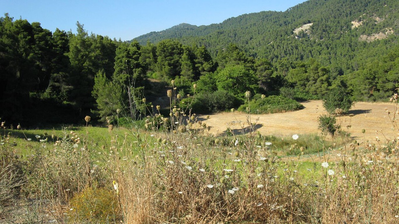 Photo of Others in Mantoudi-Limni-Agia Anna