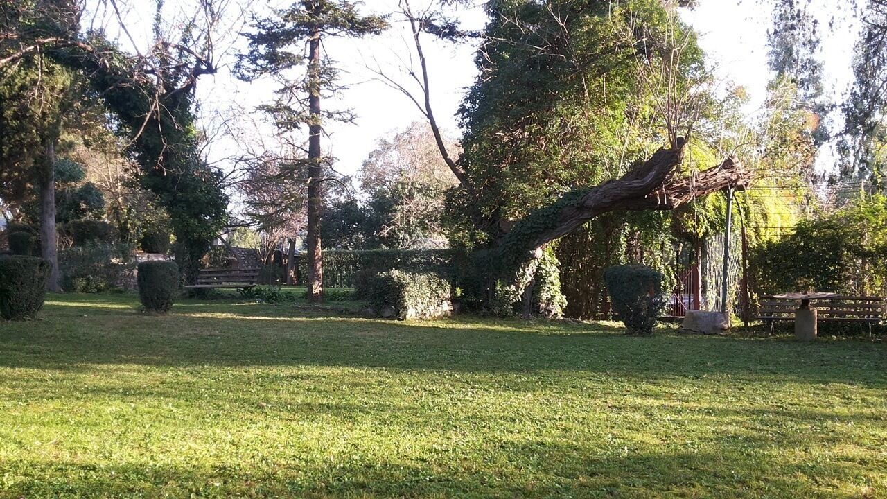 Photo of Outdoor in Mantoudi-Limni-Agia Anna